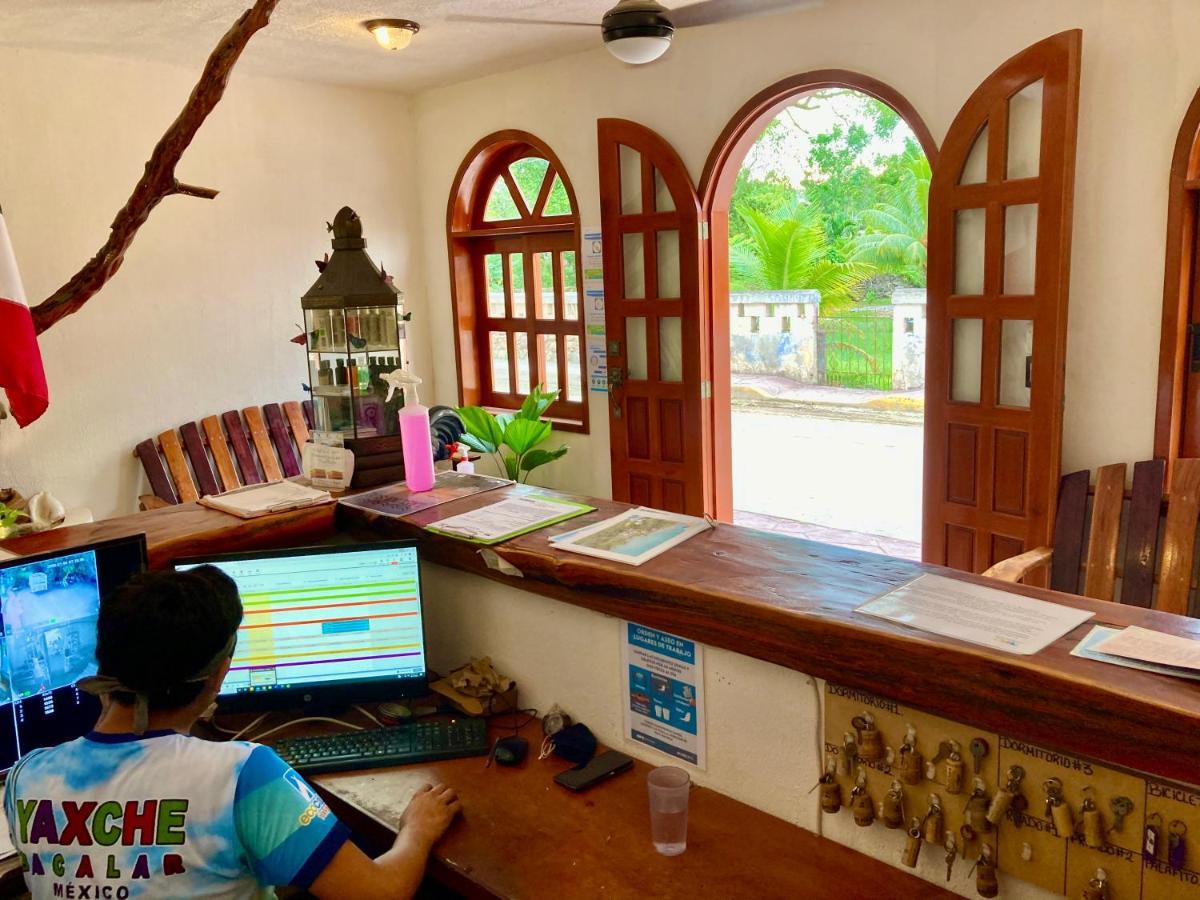Yaxche Centro Hostal Y Camping Bacalar Eksteriør billede