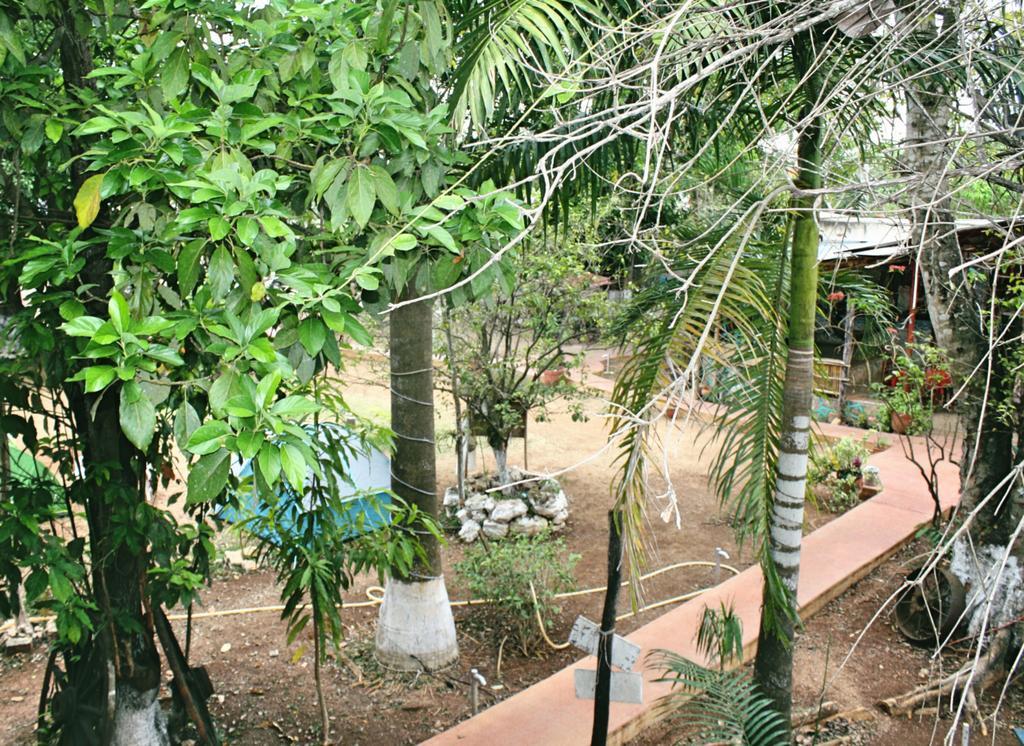 Yaxche Centro Hostal Y Camping Bacalar Eksteriør billede