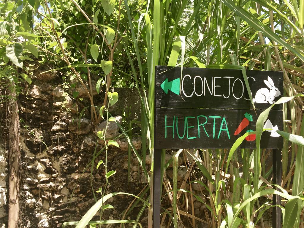 Yaxche Centro Hostal Y Camping Bacalar Eksteriør billede